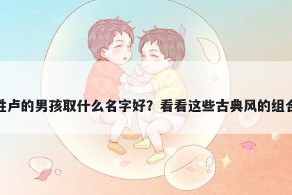 姓卢的男孩取什么名字好？看看这些古典风的组合