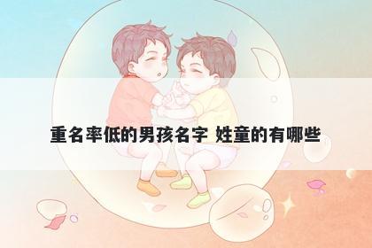 重名率低的男孩名字 姓童的有哪些