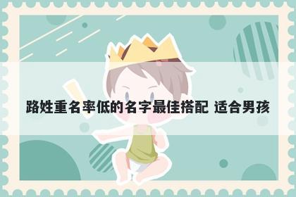 路姓重名率低的名字最佳搭配 适合男孩