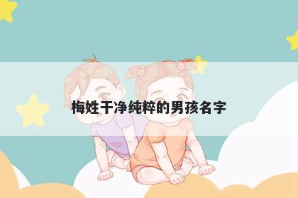 梅姓干净纯粹的男孩名字