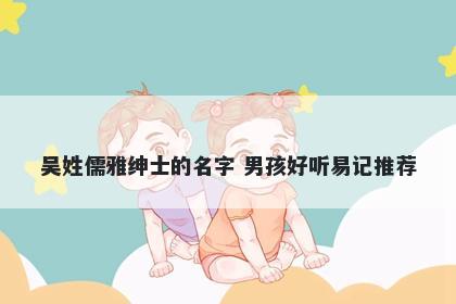 吴姓儒雅绅士的名字 男孩好听易记推荐