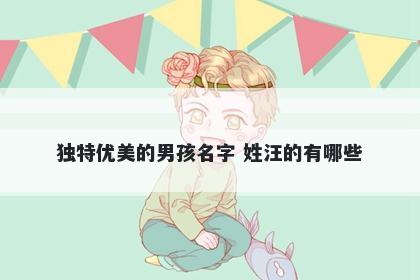 独特优美的男孩名字 姓汪的有哪些