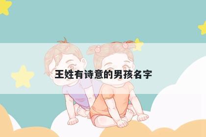 王姓有诗意的男孩名字