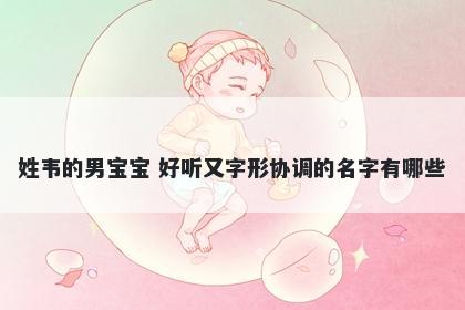 姓韦的男宝宝 好听又字形协调的名字有哪些