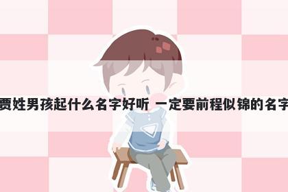 贾姓男孩起什么名字好听 一定要前程似锦的名字