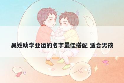 吴姓助学业运的名字最佳搭配 适合男孩