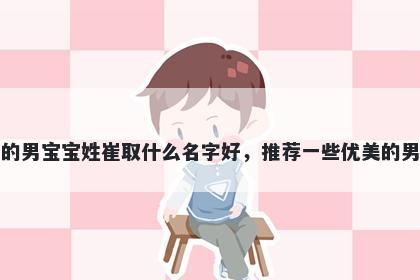 刚出生的男宝宝姓崔取什么名字好，推荐一些优美的男孩名字