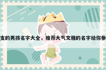 姓支的男孩名字大全，推荐大气文雅的名字给你参考
