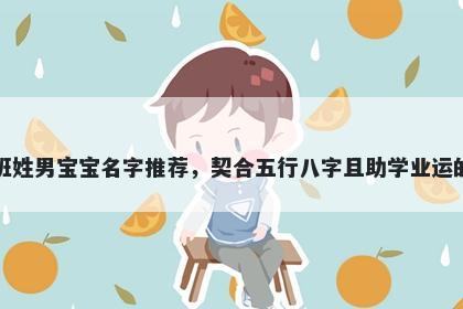 班姓男宝宝名字推荐，契合五行八字且助学业运的