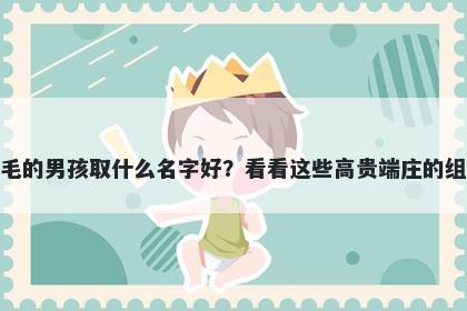 姓毛的男孩取什么名字好？看看这些高贵端庄的组合