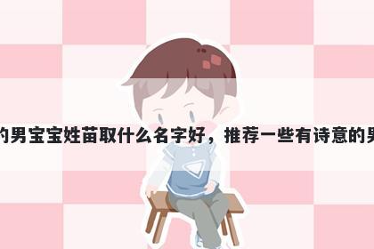 刚出生的男宝宝姓苗取什么名字好，推荐一些有诗意的男孩名字