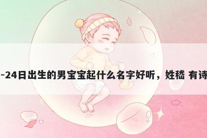 2026年-04月-24日出生的男宝宝起什么名字好听，姓嵇 有诗意的名字推荐