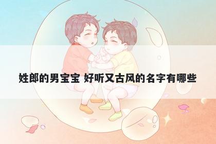 姓郎的男宝宝 好听又古风的名字有哪些