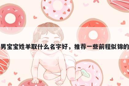 刚出生的男宝宝姓羊取什么名字好，推荐一些前程似锦的男孩名字