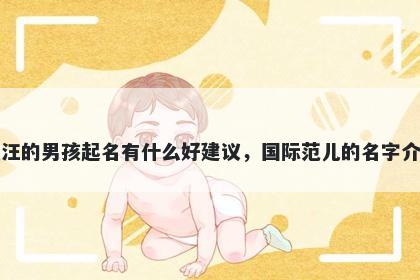 姓汪的男孩起名有什么好建议，国际范儿的名字介绍