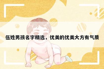 伍姓男孩名字精选，优美的优美大方有气质