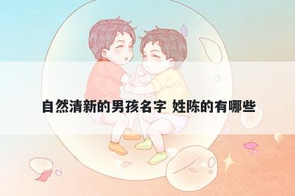 自然清新的男孩名字 姓陈的有哪些