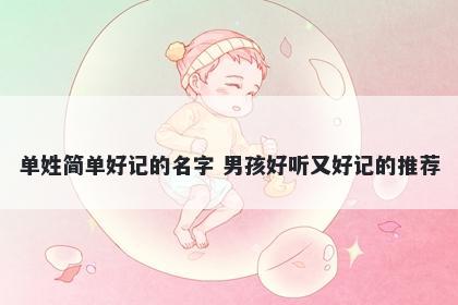 单姓简单好记的名字 男孩好听又好记的推荐
