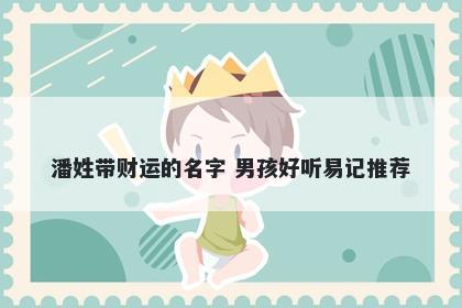 潘姓带财运的名字 男孩好听易记推荐