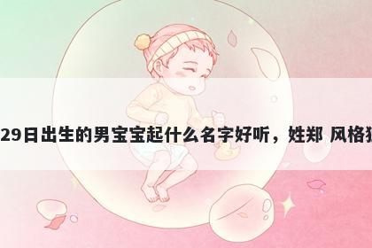 2026年-04月-29日出生的男宝宝起什么名字好听，姓郑 风格独特的名字推荐