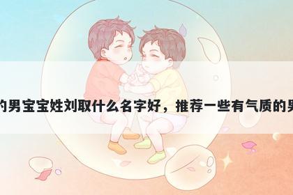 刚出生的男宝宝姓刘取什么名字好，推荐一些有气质的男孩名字