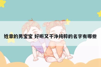 姓章的男宝宝 好听又干净纯粹的名字有哪些