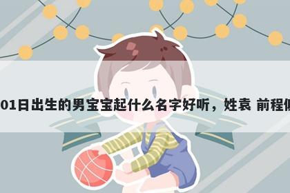 2026年-05月-01日出生的男宝宝起什么名字好听，姓袁 前程似锦的名字推荐