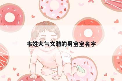 韦姓大气文雅的男宝宝名字