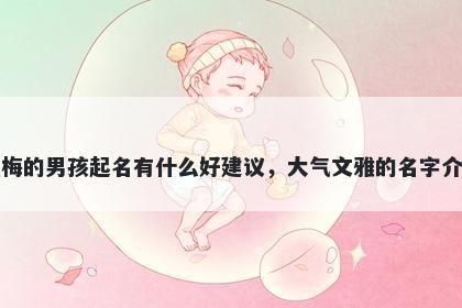 姓梅的男孩起名有什么好建议，大气文雅的名字介绍