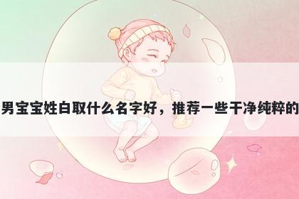 刚出生的男宝宝姓白取什么名字好，推荐一些干净纯粹的男孩名字