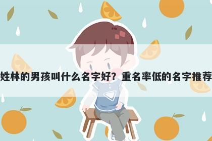 姓林的男孩叫什么名字好？重名率低的名字推荐
