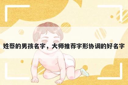 姓蔡的男孩名字，大师推荐字形协调的好名字