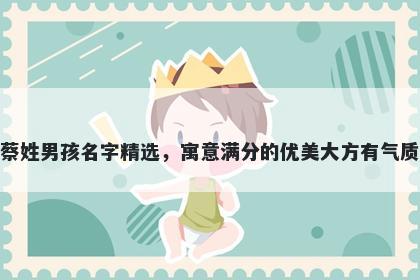 蔡姓男孩名字精选，寓意满分的优美大方有气质