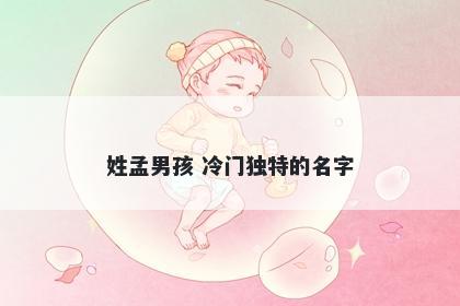 姓孟男孩 冷门独特的名字