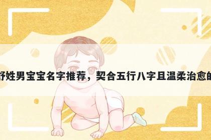 舒姓男宝宝名字推荐，契合五行八字且温柔治愈的
