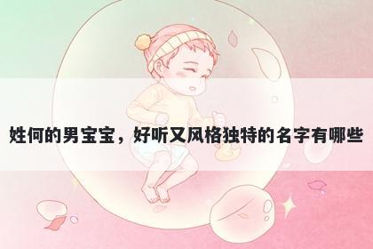 姓何的男宝宝，好听又风格独特的名字有哪些