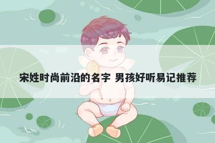 宋姓时尚前沿的名字 男孩好听易记推荐