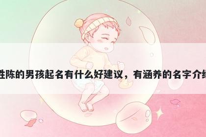 姓陈的男孩起名有什么好建议，有涵养的名字介绍