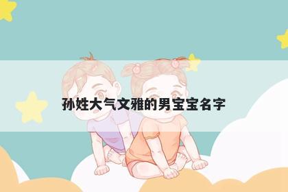 孙姓大气文雅的男宝宝名字