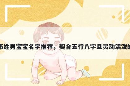 韦姓男宝宝名字推荐，契合五行八字且灵动活泼的