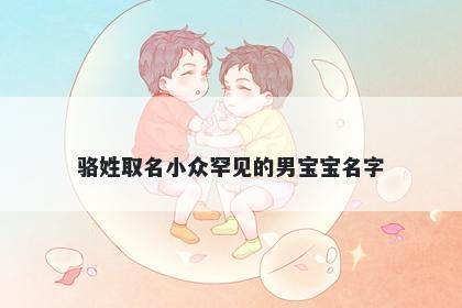 骆姓取名小众罕见的男宝宝名字