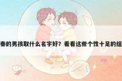 姓秦的男孩取什么名字好？看看这些个性十足的组合