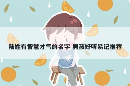 陆姓有智慧才气的名字 男孩好听易记推荐