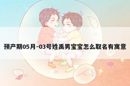 预产期05月-03号姓禹男宝宝怎么取名有寓意