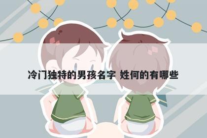 冷门独特的男孩名字 姓何的有哪些
