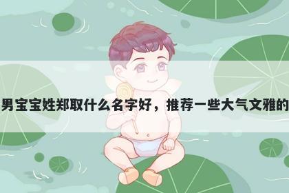 刚出生的男宝宝姓郑取什么名字好，推荐一些大气文雅的男孩名字