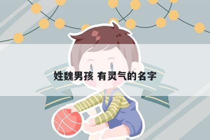 姓魏男孩 有灵气的名字