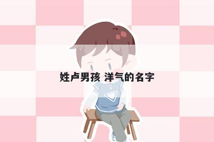 姓卢男孩 洋气的名字