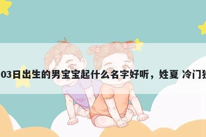 2026年-05月-03日出生的男宝宝起什么名字好听，姓夏 冷门独特的名字推荐