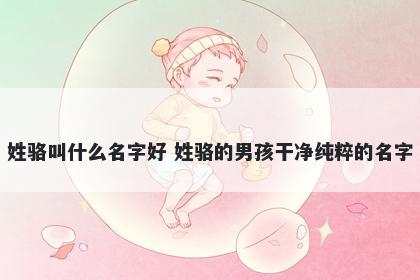 姓骆叫什么名字好 姓骆的男孩干净纯粹的名字